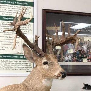 Meet your Posher, Benjamin